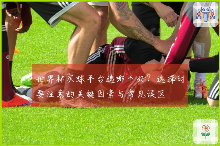 世界杯买球平台选哪个好?选择时要注意的关键因素与常见误区
