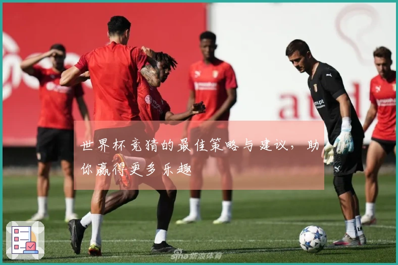 世界杯竞猜的最佳策略与建议，助你赢得更多乐趣