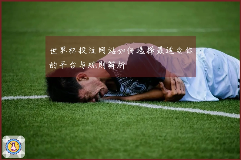 世界杯投注网站如何选择最适合你的平台与规则解析