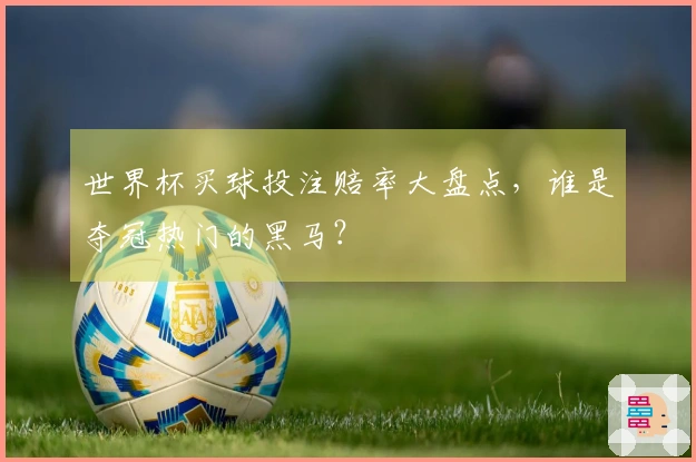世界杯买球投注赔率大盘点，谁是夺冠热门的黑马？