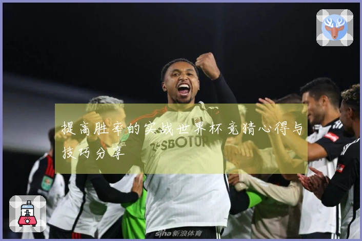 提高胜率的实战世界杯竞猜心得与技巧分享
