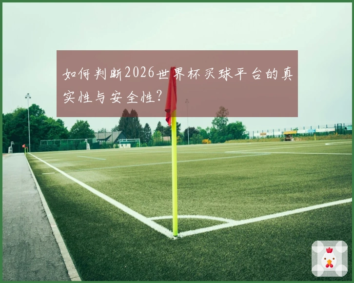 如何判断2026世界杯买球平台的真实性与安全性？