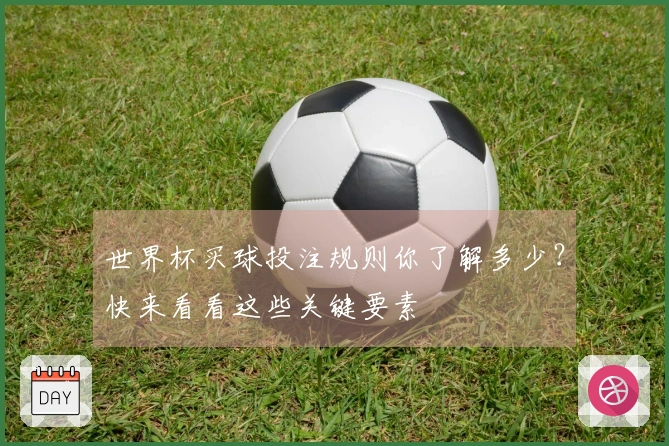 世界杯买球投注规则你了解多少？快来看看这些关键要素