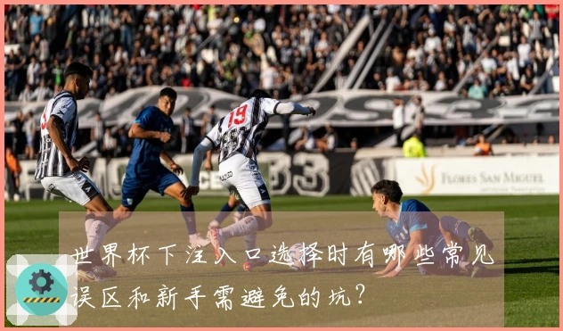 世界杯下注入口选择时有哪些常见误区和新手需避免的坑？