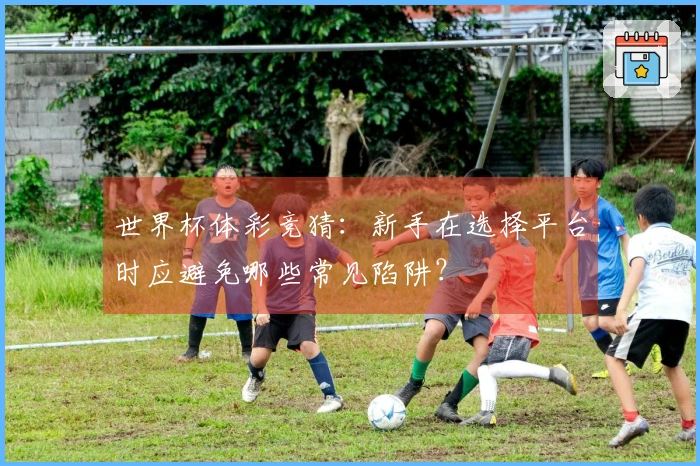 世界杯体彩竞猜：新手在选择平台时应避免哪些常见陷阱？