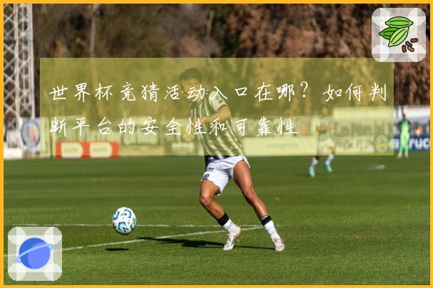 世界杯竞猜活动入口在哪？如何判断平台的安全性和可靠性