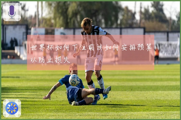 世界杯如何下注前该如何安排预算以防止损失