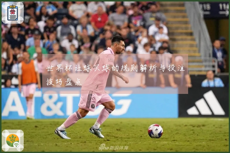 世界杯让球买球的规则解析与投注技巧盘点