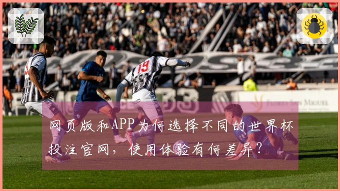 网页版和APP为何选择不同的世界杯投注官网，使用体验有何差异？