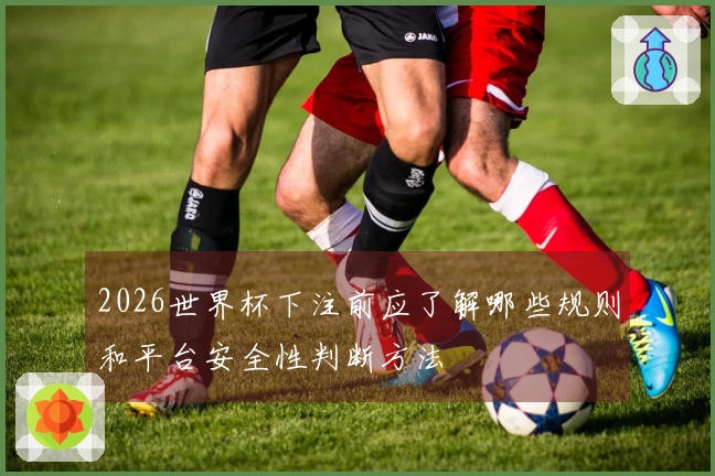 2026世界杯下注前应了解哪些规则和平台安全性判断方法