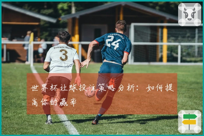 世界杯让球投注策略分析：如何提高你的赢率
