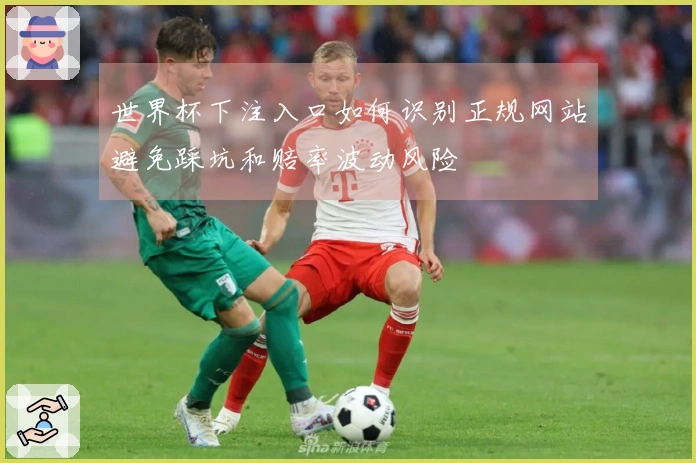 世界杯下注入口如何识别正规网站避免踩坑和赔率波动风险
