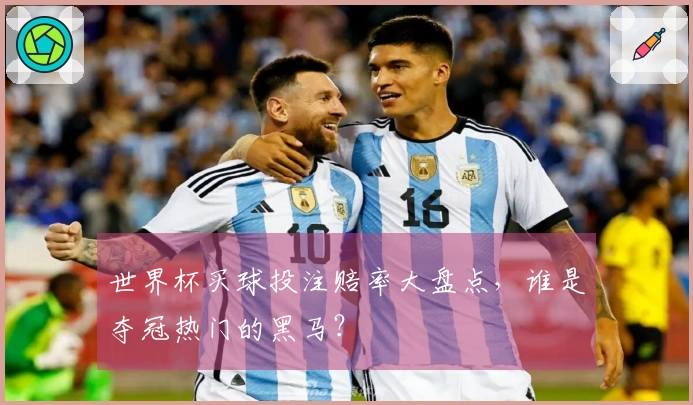 世界杯买球投注赔率大盘点，谁是夺冠热门的黑马？