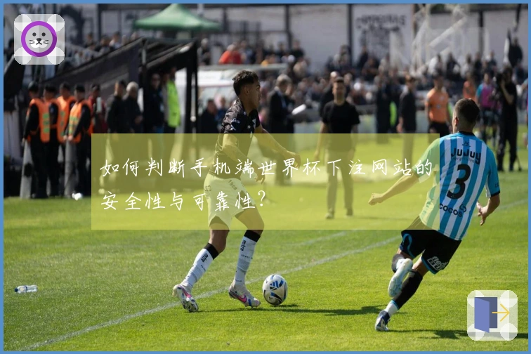 如何判断手机端世界杯下注网站的安全性与可靠性？