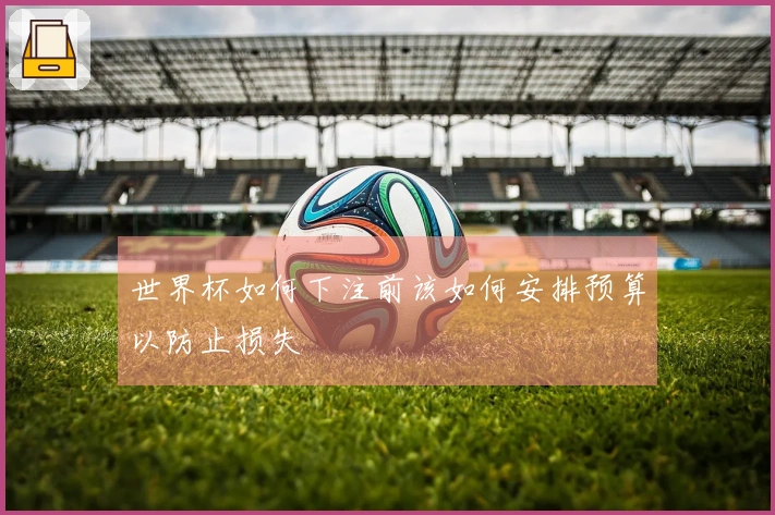 世界杯如何下注前该如何安排预算以防止损失