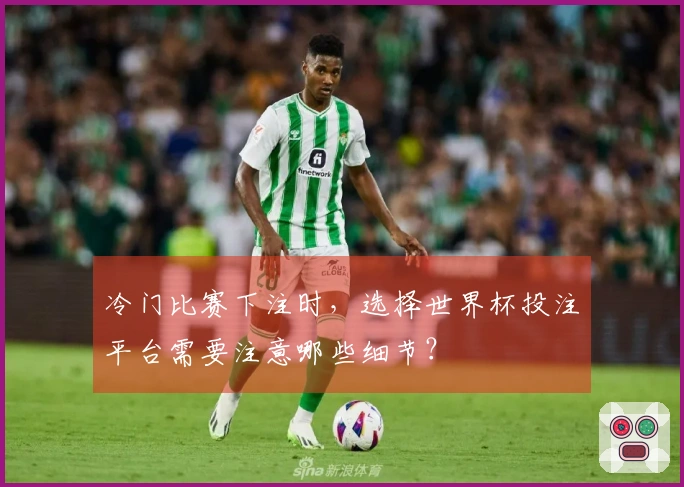 冷门比赛下注时,选择世界杯投注平台需要注意哪些细节?