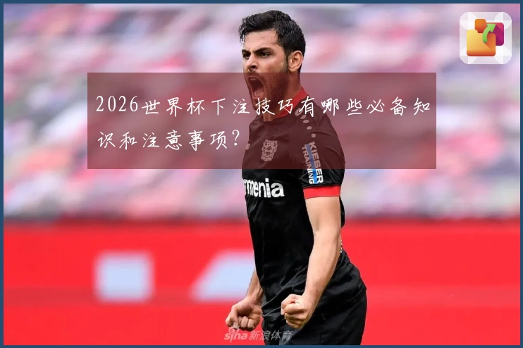 2026世界杯下注技巧有哪些必备知识和注意事项？