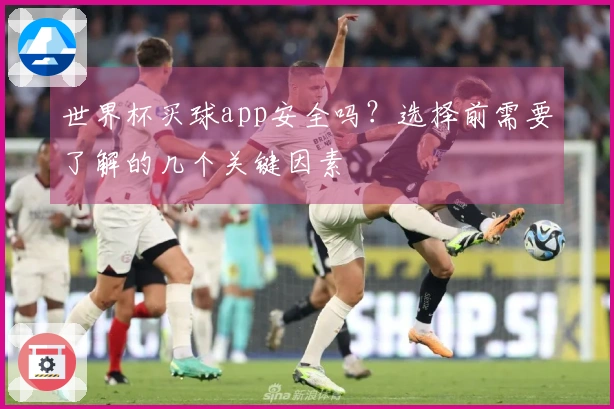 世界杯买球app安全吗?选择前需要了解的几个关键因素