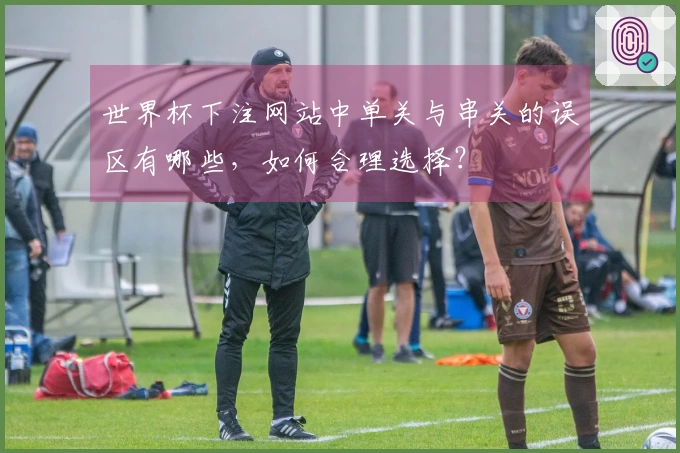 世界杯下注网站中单关与串关的误区有哪些，如何合理选择？