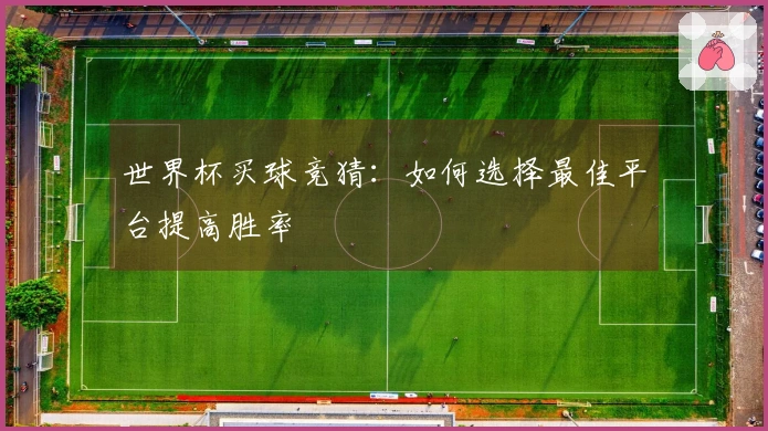 世界杯买球竞猜：如何选择最佳平台提高胜率