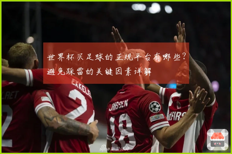 世界杯买足球的正规平台有哪些?避免踩雷的关键因素详解