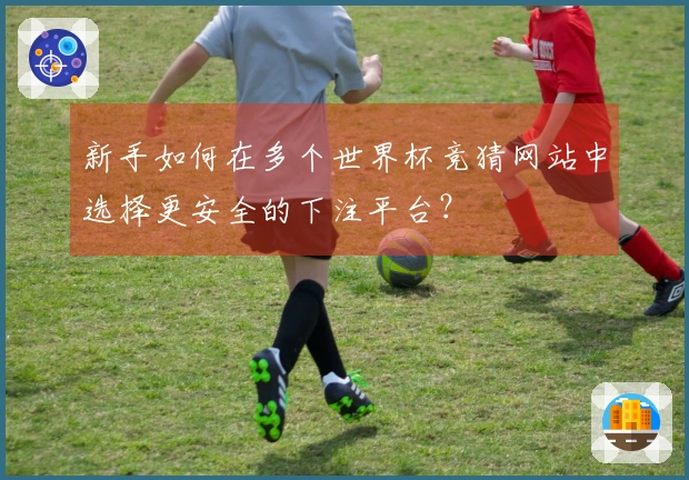 新手如何在多个世界杯竞猜网站中选择更安全的下注平台？