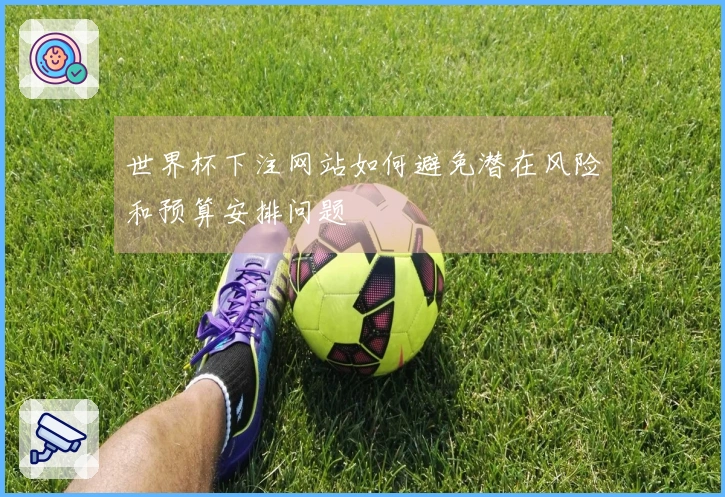 世界杯下注网站如何避免潜在风险和预算安排问题