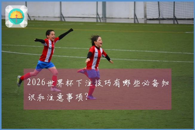 2026世界杯下注技巧有哪些必备知识和注意事项？