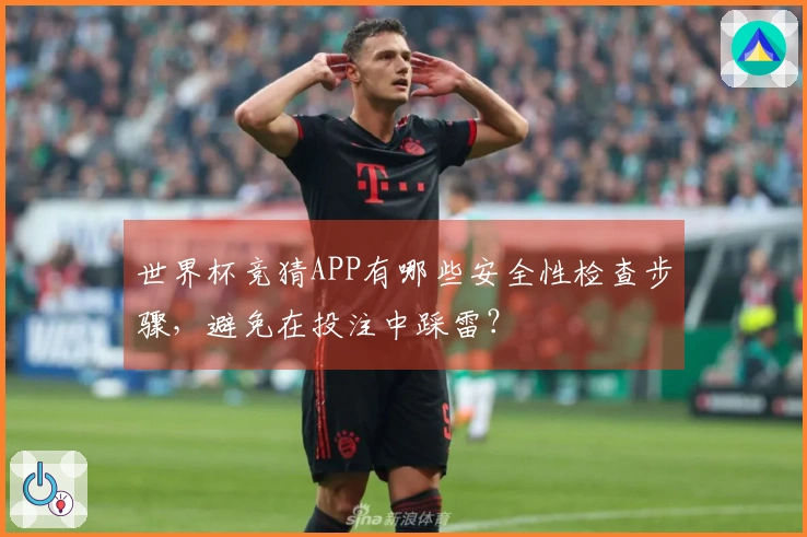 世界杯竞猜APP有哪些安全性检查步骤,避免在投注中踩雷?
